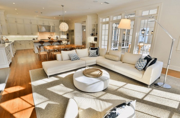 Open-concept living spaces